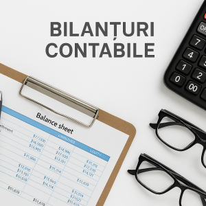 bilanturi_contabile_das